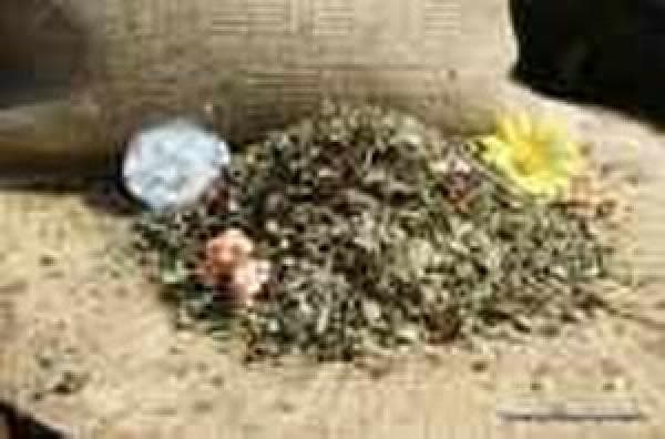 Ergänzungsfuttermittel für Pferde mit Hufproblemen - Nehls Hufkräuter Spezial