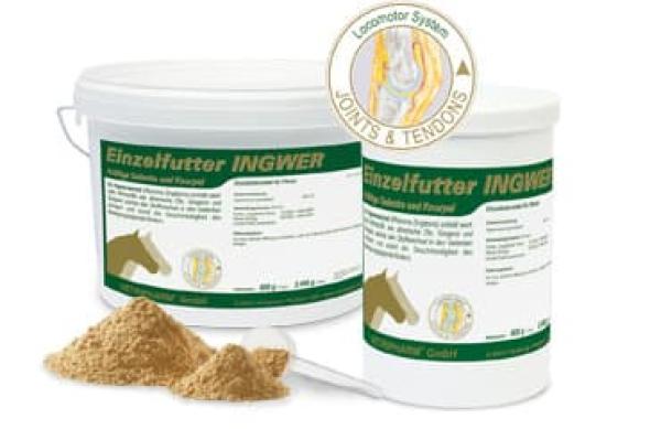 Ingwer Ergänzungsfutter für Pferde 800g und 2.000g Ingwer Ergänzungsfutter für Pferde 800g und 2.000g